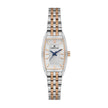 Daniel Klein Premium Silver and Rose Gold Stainless Steel Watch for Women DK.1.14107-6 - Daniel Klein Saudi Arabia