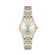Freelook Naturelle Silver and Gold Stainless Steel Watch for Women FL.1.10533-4 - Daniel Klein Saudi Arabia