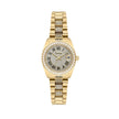 Freelook Charmant Gold Stainless Steel Watch for Women FL.4.10023-3 - Daniel Klein Saudi Arabia