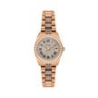 Freelook Charmant Rose Gold Stainless Steel Watch for Women FL.4.10023-4 - Daniel Klein Saudi Arabia