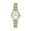 Santa Barbara Polo & Racquet Club Unique Silver and Gold Stainless Steel Watch for Women SB.1.10649-4 - Daniel Klein Saudi Arabia